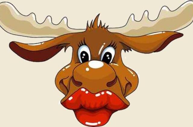 Briedis išbučiavo merginą