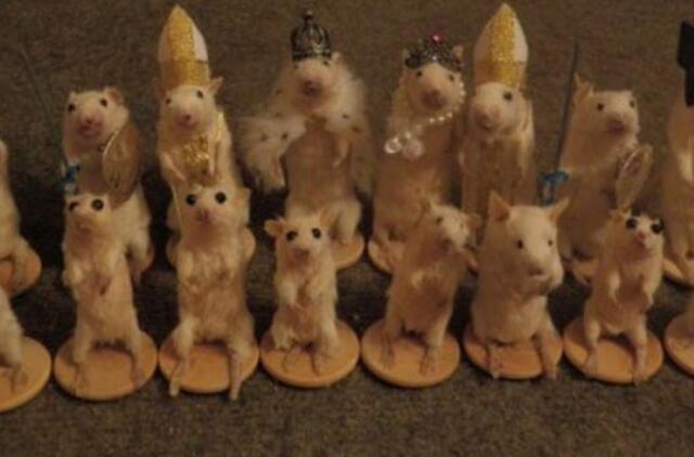 Įspūdingos šachmatų figūros - iš pelių iškamšų