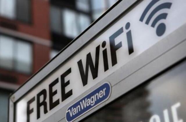 Nustatyta, kad belaidis internetas gali kenkti augalams