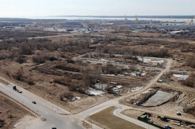 Paskutiniame aukcione šiemet - sėkmingas sandoris