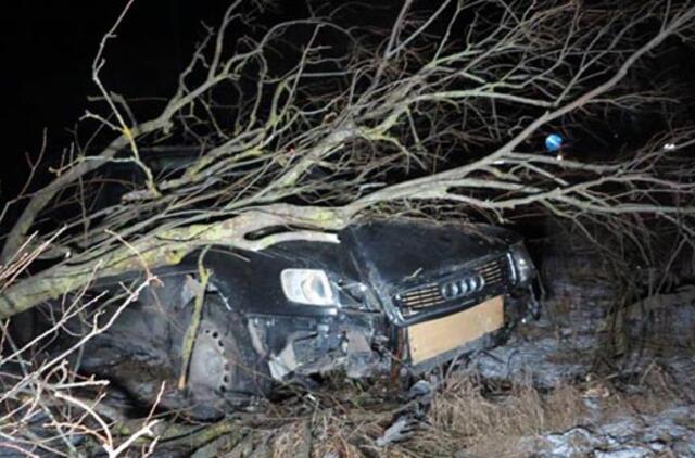 Į krūmus nulėkusio "Audi" vairuotoją išgelbėjo ledas