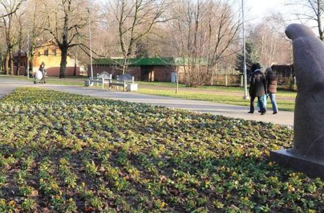 Klaipėdos antradienis, sausio 7-oji