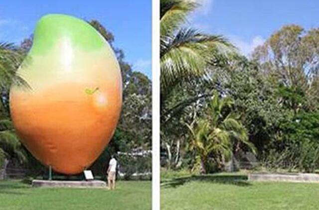 Australijoje pavogtas 7 tonas sveriantis paminklas... mangui