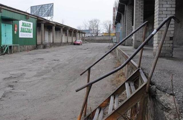 Bazės metamorfozės idėja dar nemirusi