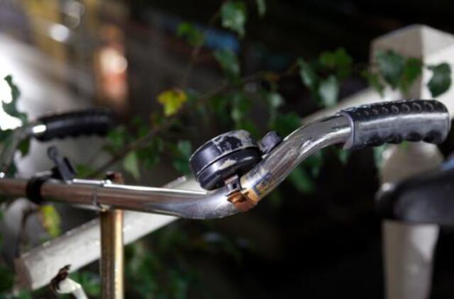 Dėl ko nustemba kiekvienas, atvykęs į Olandiją?