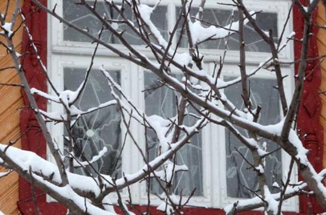 Dienomis orai bus švelnesni, nors naktys dar žvarbios