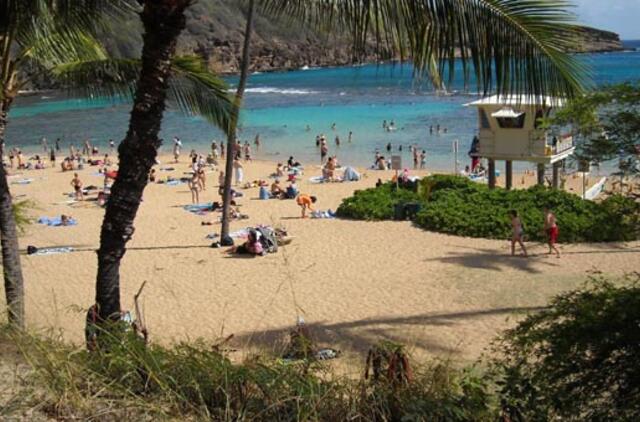 Havajus palikusi lietuvė: Tėvynei reikia duoti antrą šansą