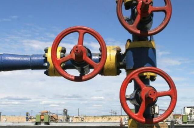 Kretingos raj. naftos telkinys - gausesnis, nei manyta