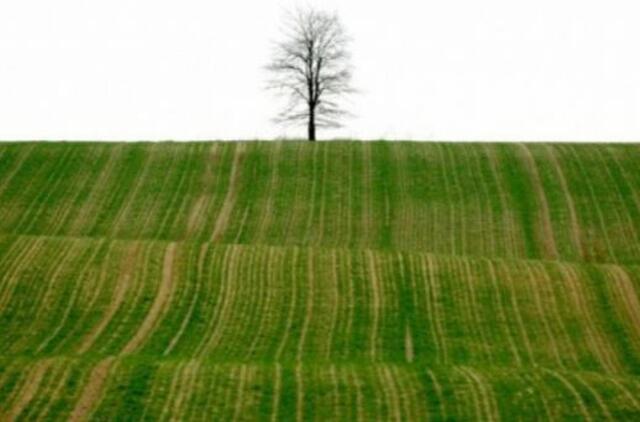 Lenkijoje skelbs referendumą dėl žemės