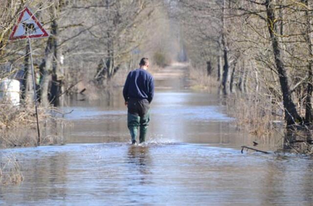 Pavasarinio potvynio sulauksime pavasarį