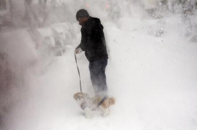 Snygio padarinių aukų JAV - jau 25