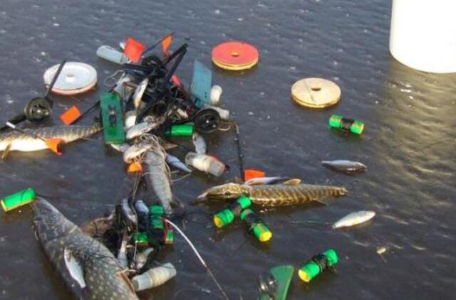 Už 9 lydekas teks sumokėti beveik 5 tūkstančius litų