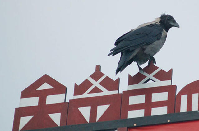 Neringos savivaldybėje - socialinė diskriminacija