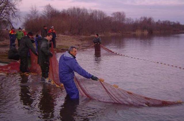 Pamario žvejai jau ruošia tinklus stintoms