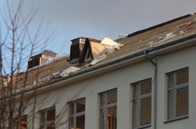 Statybų komisijos vaidmenį atlieka ir gamta