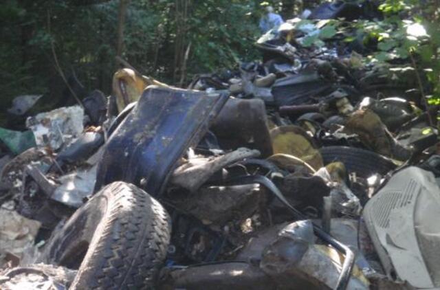 Valstybės institucijoms nerūpi nelegalūs automobilių ardytojai?