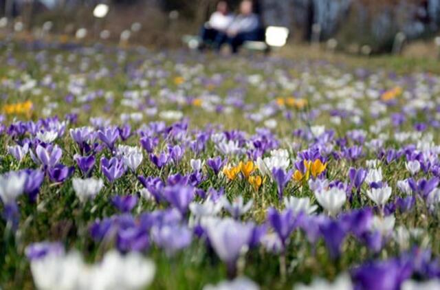 Vokietijoje užfiksuotas šilumos rekordas