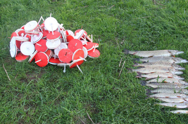 Brakonieriai niekur nedingo, bet tapo atsargesni