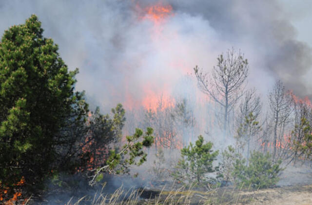 Padarytos žalos mastas paaiškės per savaitę