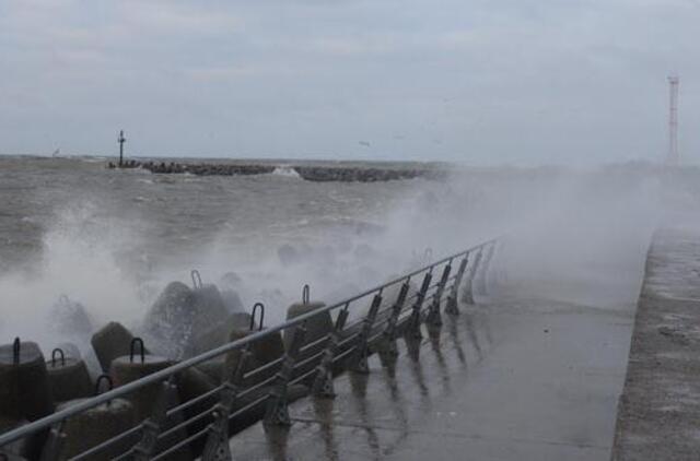 Idėja, prieš kurią nublanksta tiltas į Kuršių neriją