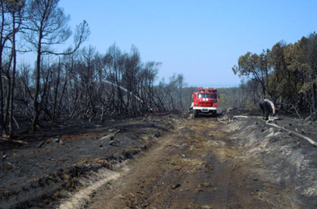 Kuršių nerijoje buvo kilęs dar vienas  gaisras