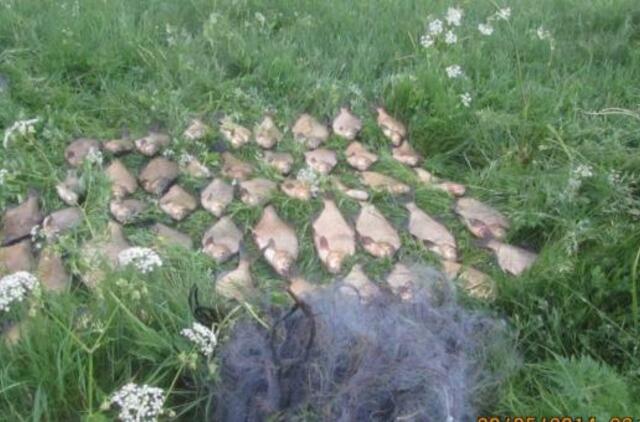 Neteisėta žvejyba - itin brangus malonumas