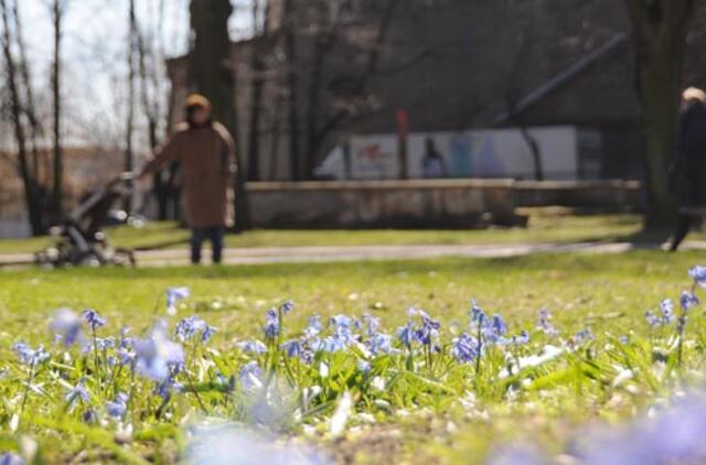 Sinoptikai: į Lietuvą plūs šiltesnis oras