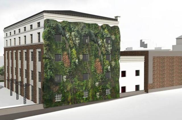 Siūlo apželdinti uosto statinius