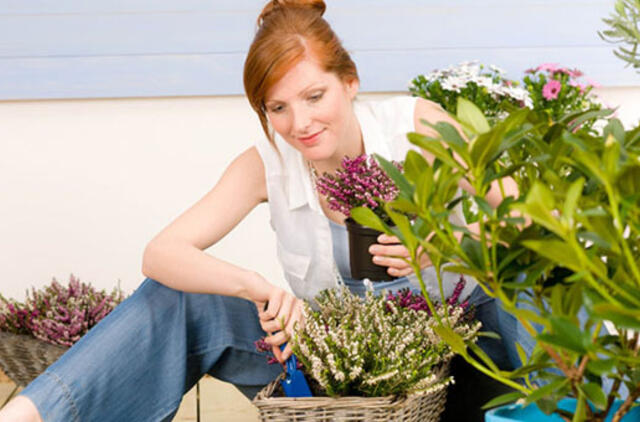 Kad pesticidai nepakenktų sveikatai