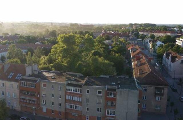 Klaipėdoje kuriama NVO taryba