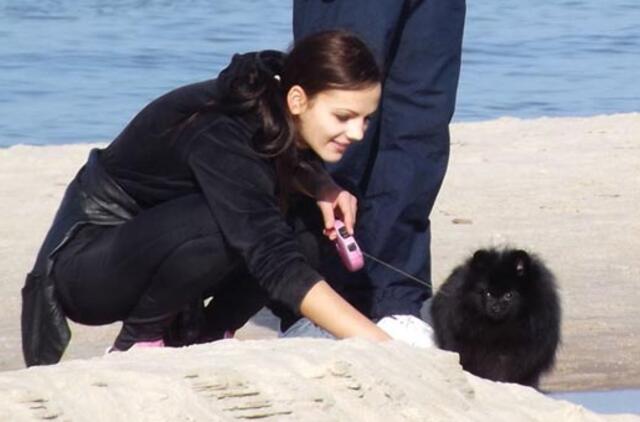 Palangos gyvūnams - kvadratinės normos