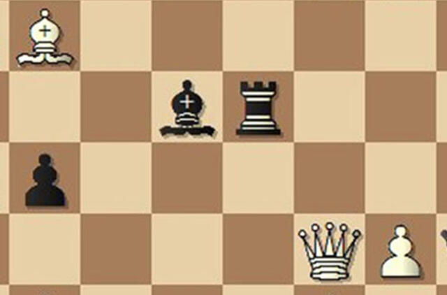 Šachmatininkų rubrika