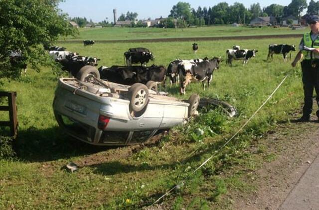 Užmigusio jaunuolio "Opel" atsidūrė ganykloje