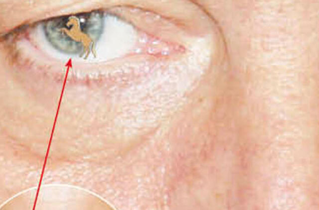 Andrius Kubilius savoje akyje ir arklio nemato