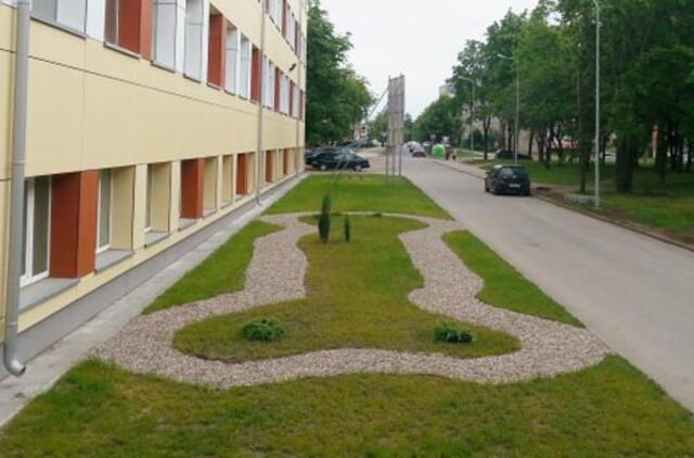 Gargžduose prie mokyklos - lytinio organo imitacija