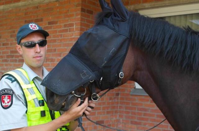 Palangos poilsiautojus sužavėjo raitoji policija