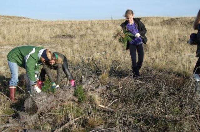 Kuršių nerijoje laukiami savanoriai