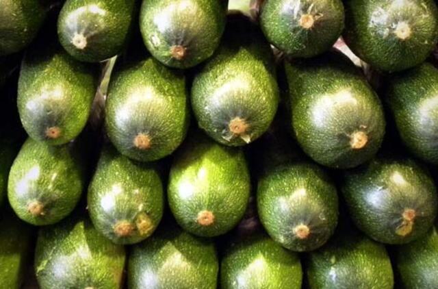 Lenkija parengė skundą PPO dėl Rusijos apribojimų importui