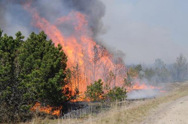 Ministerija už netinkamai įdiegtą gaisrų stebėjimo sistemą kol kas siūlo bausti dvi urėdijas