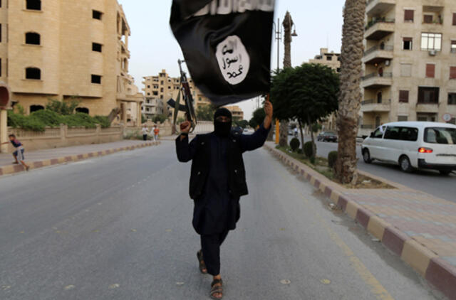 CŽV: IS kovotojų skaičius - trigubai didesnis nei manyta