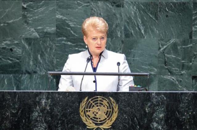 Dalia Grybauskaitė: taika ir stabilumas pasaulyje - bendra visų valstybių pareiga