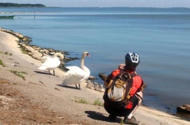 Neringos kurortams grasina smegduobės