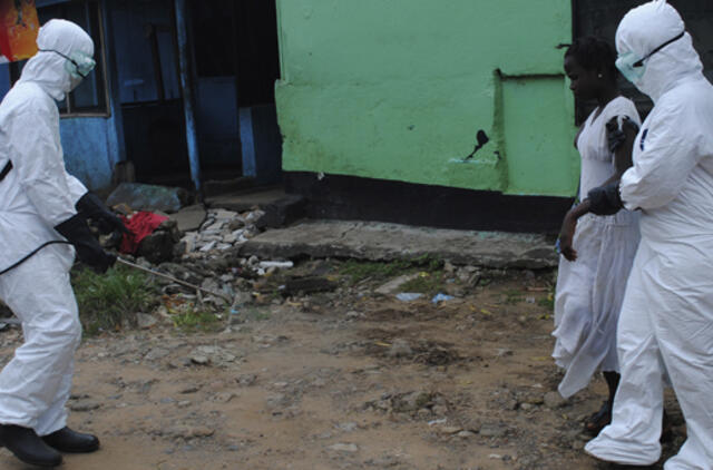 Pasaulio bankas kovai su Ebola skirs 105 mln. dolerių