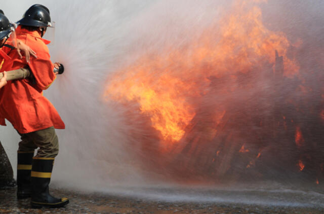 Vilniaus rajone per gaisrą žuvo vyras