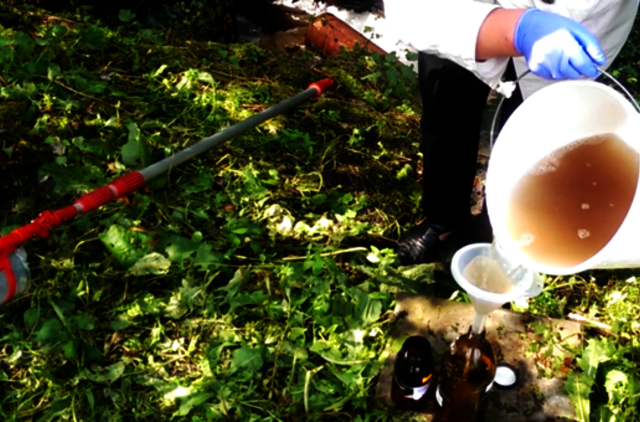 Žydros svajonės apie naują kadenciją įklimpo nuotekų liūne