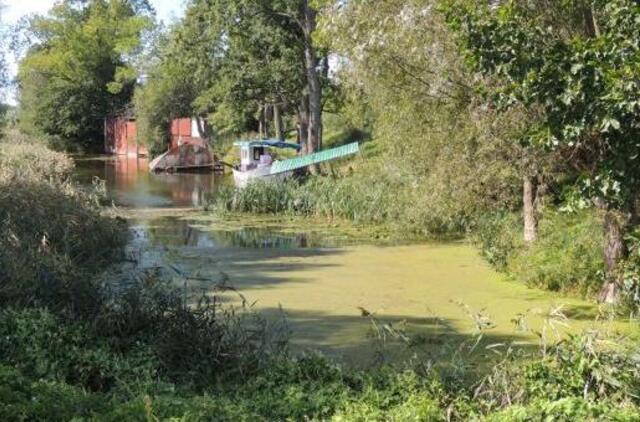 Ar dėl skundų Savivaldybė nepraras milijonų?