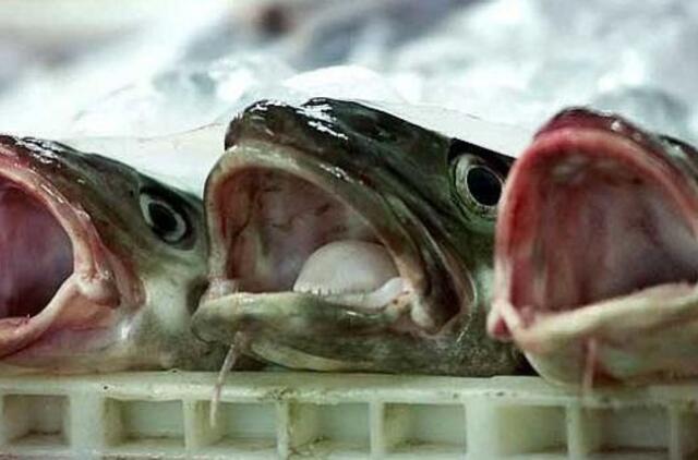 Dėl nuostolių žvejai kaltina ES