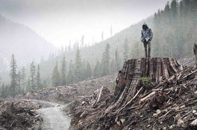Specialioje "Nepatogaus kino“ programoje – įspūdingiausia pasaulio dokumentika apie miškus