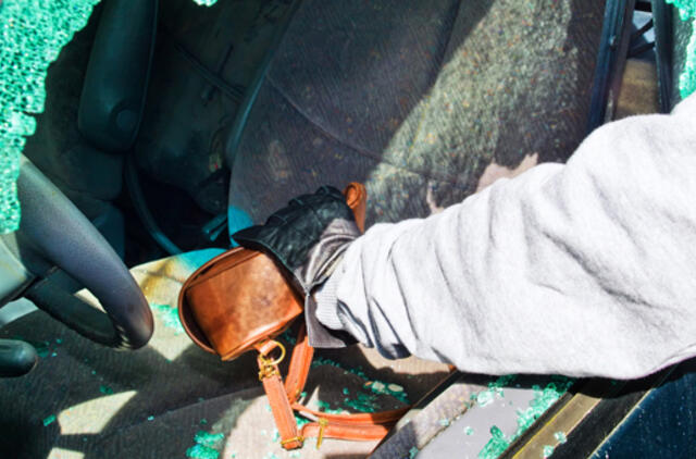 Apvogė Debreceno g. stovėjusį automobilį