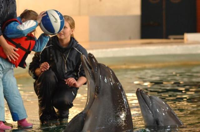 Delfinų terapija sulaukė anšlago